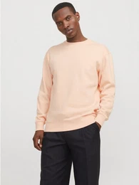 Sweatshirt JJESTAR BASIC SWEAT CREW NECK NOOS mit Rundhalsausschnitt