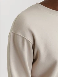 Jack & Jones Sweatshirt JJEStar Khaki/Beige