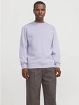 Jack & Jones Sweatshirt JJEStar 
