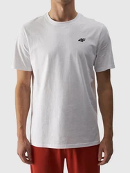 4F T-Shirt Grau/Weiß