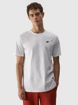 4F T-Shirt Grau/Weiß