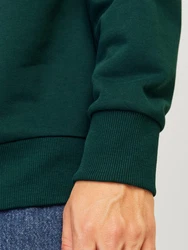 Jack & Jones Kapuzensweatshirt JJXMAS ONE COLOR FUNNY SWEAT HOOD Dunkelgrün/Grün