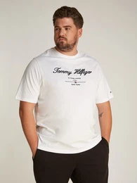 Tommy Hilfiger Big & Tall Rundhalsshirt BT-SCRIPT LOGO TEE-B in Groen Gren, Logostickerei