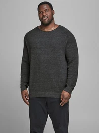Rundhalspullover JJEHILL KNIT CREW NECK NOOS PLS mit Rundhalsausschnitt