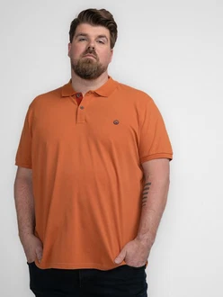 Petrol Industries Poloshirt Inside