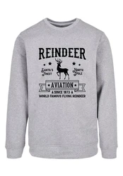 F4NT4STIC Sweatshirt Reindeer Aviation Retro Weihnachten Sign Premium Qualität, Christmas Collection Grau/Braun/Lila/Rot