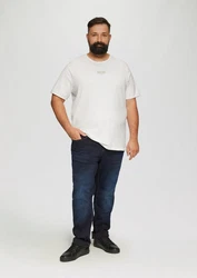 s.Oliver Kurzarmshirt T-Shirt mit Artwork Weiß/Braun/Grau