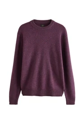Next Rundhalspullover Regular Fit 