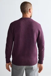 Next Rundhalspullover Regular Fit 