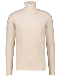 Strickpullover Herren Rollkragenpullover MASON Regular Fit (1-tlg)
