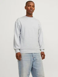 Jack & Jones Sweatshirt JJECHARGE SWEAT CREW NECK NOOS Grau/Hellgrau