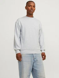 Jack & Jones Sweatshirt JJECHARGE SWEAT CREW NECK NOOS Grau/Hellgrau