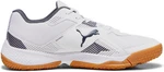 PUMA Solarflash II Indoorschuh SILBER/VOLT/SCHWARZ