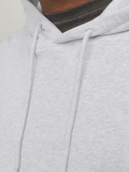 Jack & Jones Sweatshirt JJECHARGE SWEAT HOOD NOOS Grau/Weiß/Hellgrau/Silber/Creme
