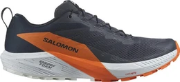 SHOES SENSE RIDE 5 GTX Indink/Carbon/Drf 000 Laufschuh