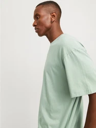 JACK & JONES T-Shirt JJEBradley Grün/Hellgrün