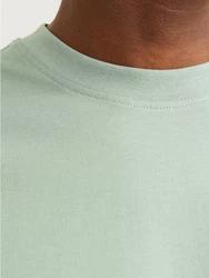 JACK & JONES T-Shirt JJEBradley Grün/Hellgrün