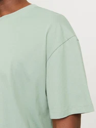 JACK & JONES T-Shirt JJEBradley Grün/Hellgrün