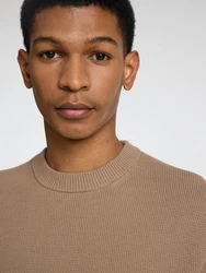 SELECTED HOMME Rundhalspullover SLHDane 