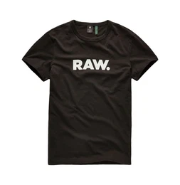 G-STAR T-Shirt T-Shirt Rundhals T-Shirt Holorn Shortsleeve Round (1-tlg)