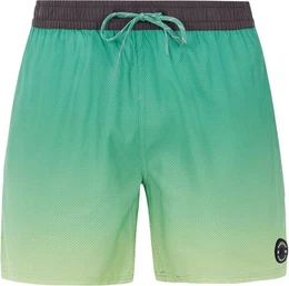 Badehose PRTERIN beachshort Frosty Green