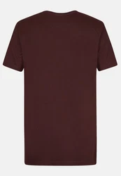 Petrol Industries T-Shirt Kurzarmshirt Braun/Dunkelrot/Dunkelbraun