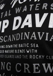 CAMP DAVID T-Shirt CRUISE NORTH Dunkelgrau/Grau/Dunkelgrün/Schwarz/Braun