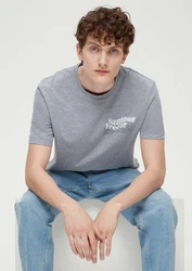 s.Oliver Kurzarmshirt T-Shirt mit Frontprint Grau/Hellblau