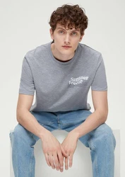 s.Oliver Kurzarmshirt T-Shirt mit Frontprint Grau/Hellblau