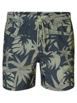 Petrol Industries Badeshorts Badehose Dunkelgrün/Grün