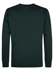 Petrol Industries Sweatshirt Sweater mit Logo Bering 