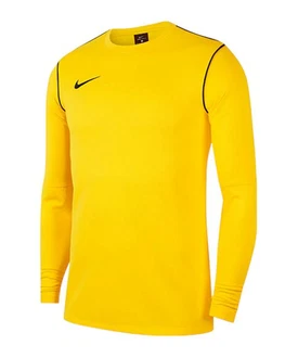 Nike Sweatshirt Park 20 Gelb