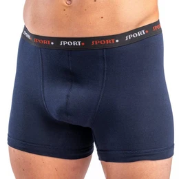 Hipster 8950 Herren Pant Boxershorts mit Webbund