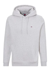 Tommy Jeans Sweatshirt TJM REG S FLAG HOODIE Grau/Hellgrau