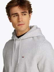 Tommy Jeans Sweatshirt TJM REG S FLAG HOODIE Grau/Hellgrau