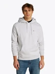 Tommy Jeans Sweatshirt TJM REG S FLAG HOODIE Grau/Hellgrau