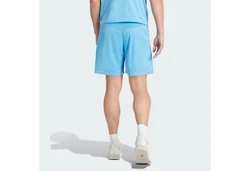 ADIDAS PERFORMANCE Sportshorts 'Essentials' Hellblau/Blau
