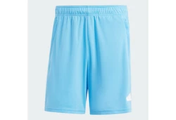 ADIDAS PERFORMANCE Sportshorts 'Essentials' Hellblau/Blau