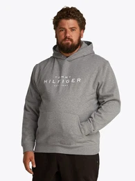 Tommy Hilfiger Big & Tall Sweatshirt BT-TOMMY HILFIGER HOODY-B in Groen Gren, Logostickerei