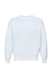Esprit Kapuzensweatshirt 