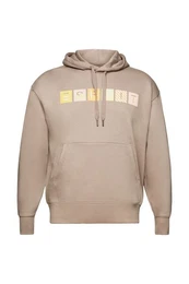 Kapuzensweatshirt