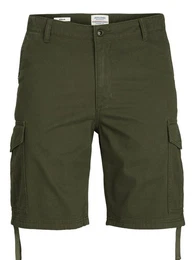 Bermudas