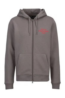 Replay Sweatshirt BRUSHED POLY COTTON FLEECE Hellgrau/Grau/Braun/Dunkelgrau/Lila