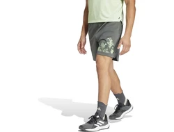 adidas Sportswear WO KNITLOGO SHO Dunkelgrün