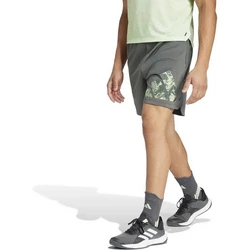 adidas Sportswear WO KNITLOGO SHO Dunkelgrün