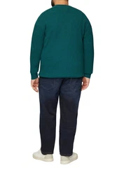 s.Oliver Strickpullover mit Nahtdetails und Logo Türkis/Grün/Dunkelgrün