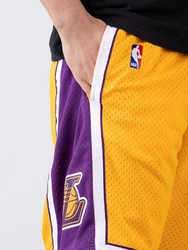 Mitchell & Ness NBA Swingman Shorts (200910) Rot