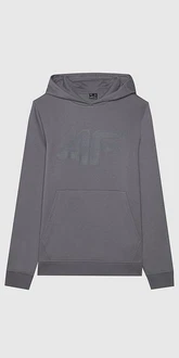 4F Kapuzensweatshirt 