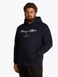 Tommy Hilfiger Big & Tall Sweatshirt BT-SCRIPT LOGO HOODY-B in Groen Gren, Logostickerei