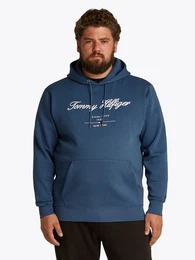 Tommy Hilfiger Big & Tall Sweatshirt BT-SCRIPT LOGO HOODY-B in Groen Gren, Logostickerei